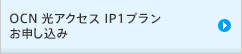 OCN 光アクセスIP1プランお申し込み