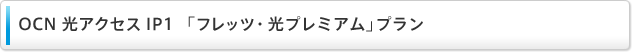 OCN 光アクセス IP1 「フレッツ・光プレミアム」プラン